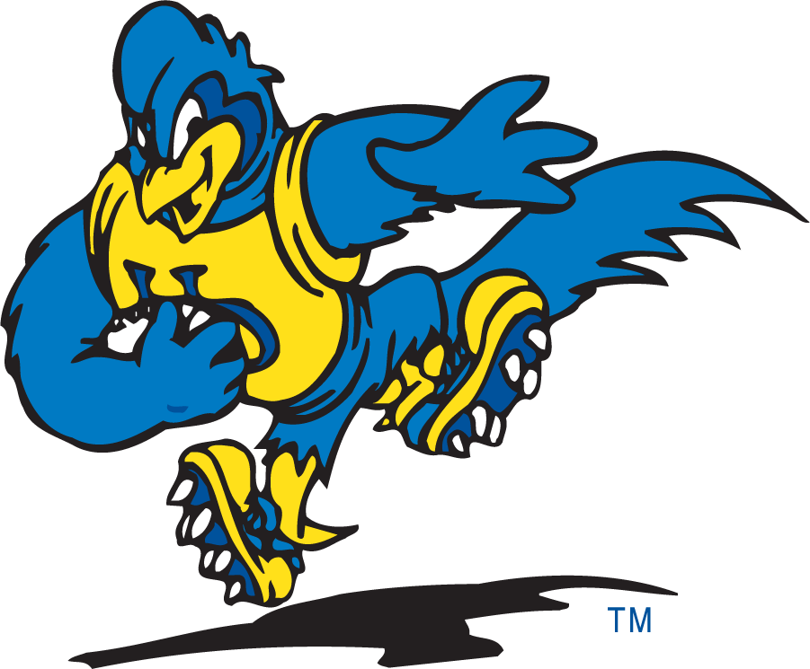 Delaware Blue Hens 1999-2009 Mascot Logo v11 iron on transfers for clothing